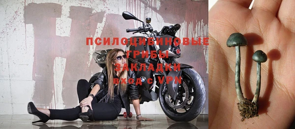 Альфа ПВП Аркадак