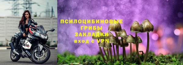 Альфа ПВП Аркадак